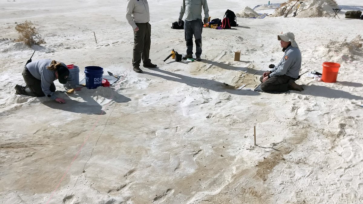 das rätsel von white sands: auf den spuren der ersten nordamerikaner