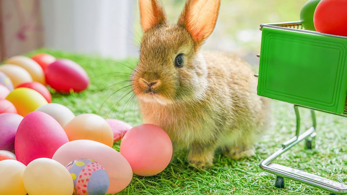 unsere frühlingsgeschichten: vom osterhasen, bienen und heiligem geist