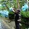 Costa Rica - Mittelamerikas grüne Schatzkammer Thumbnail