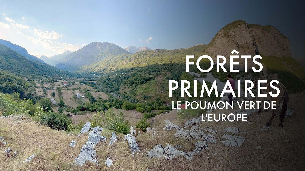 geo reportage