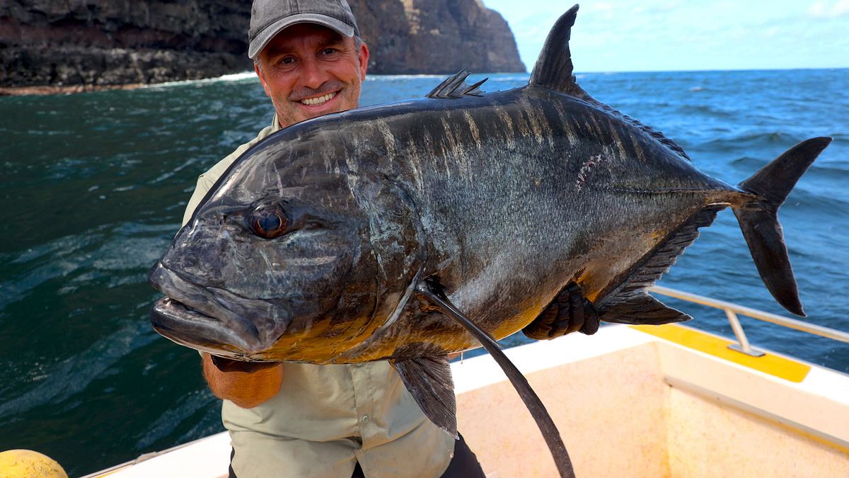 giganten unter wasser - riesenfischen auf der spur