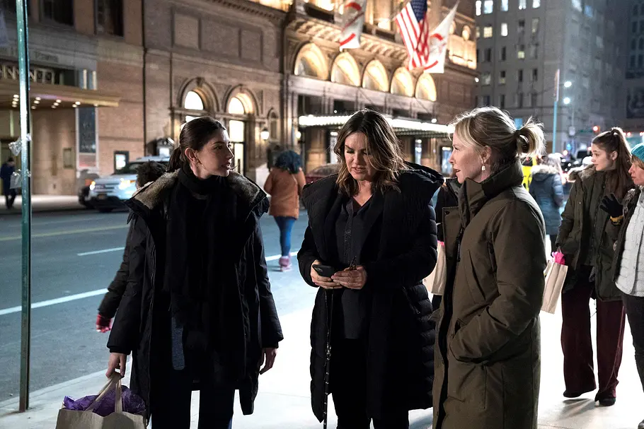 Law & Order: Special Victims Unit law & order: special victims unit