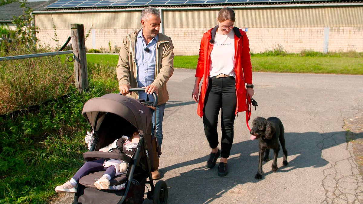 hunde verstehen!