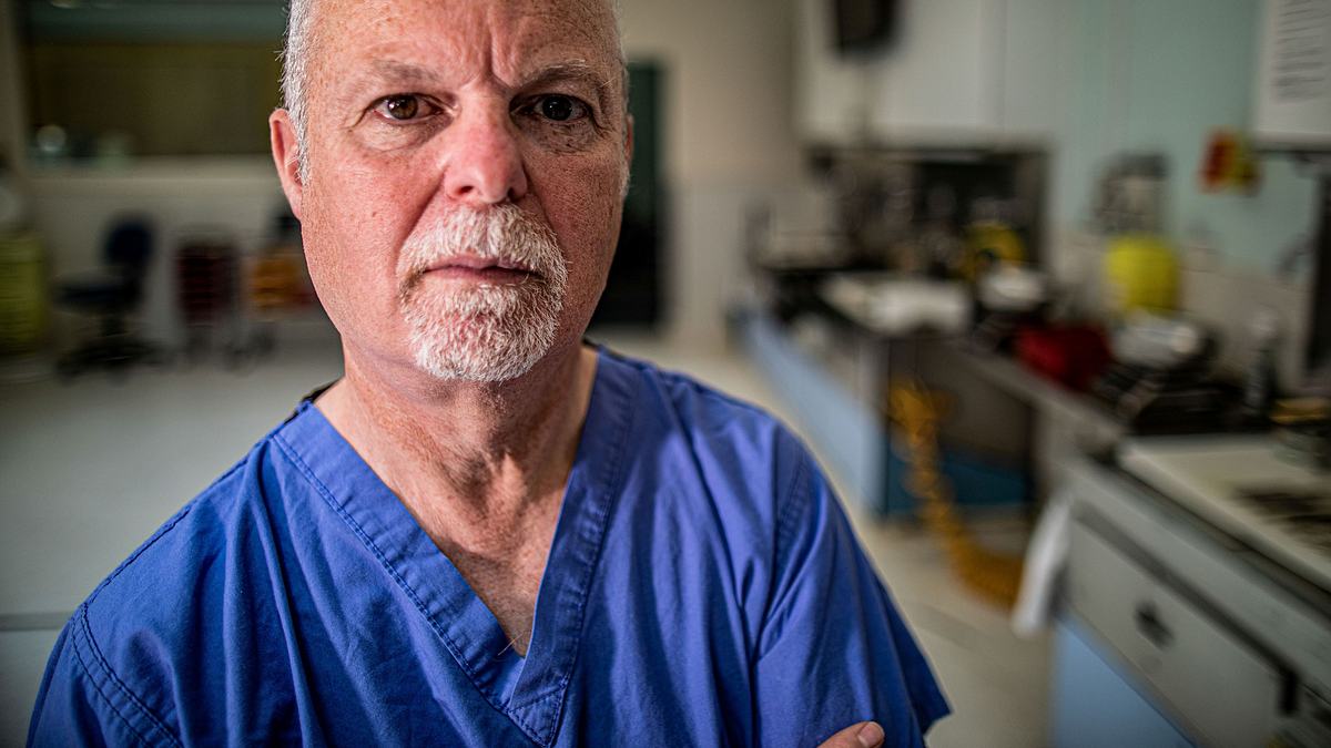 forensik: dem mörder auf der spur