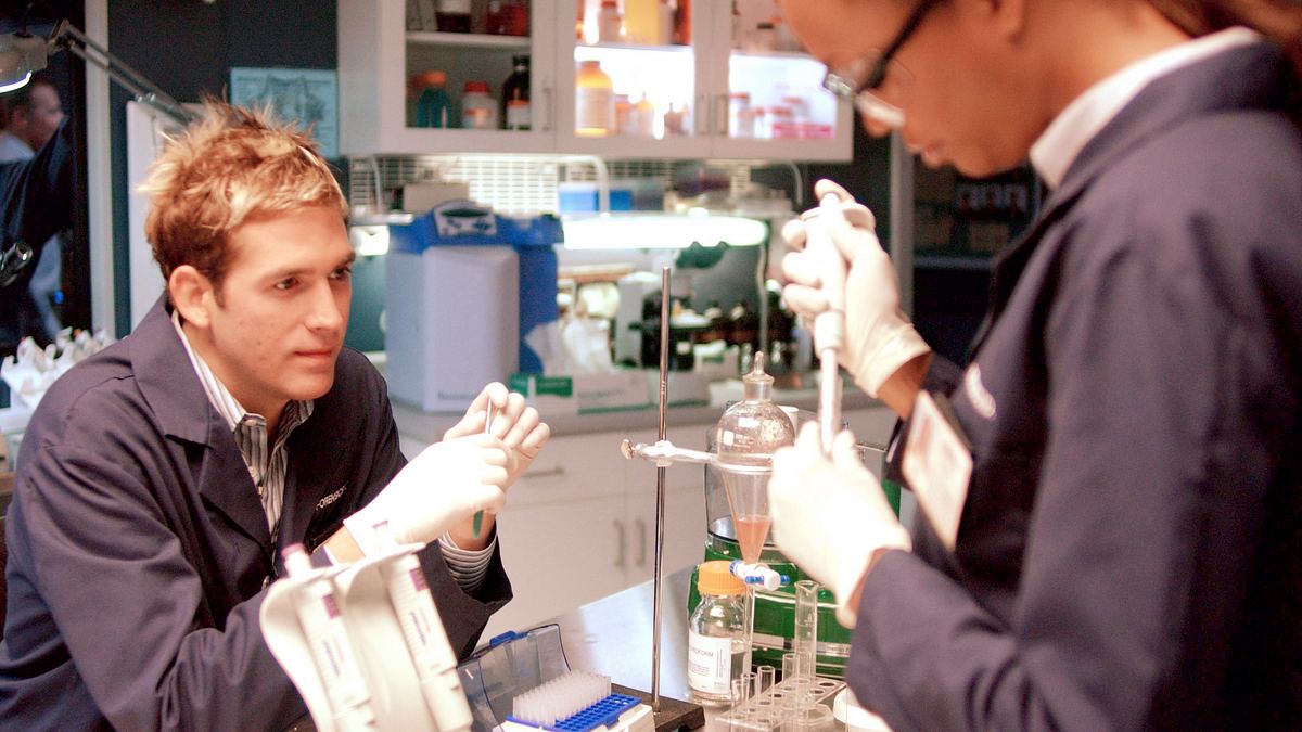 csi: den tätern auf der spur
