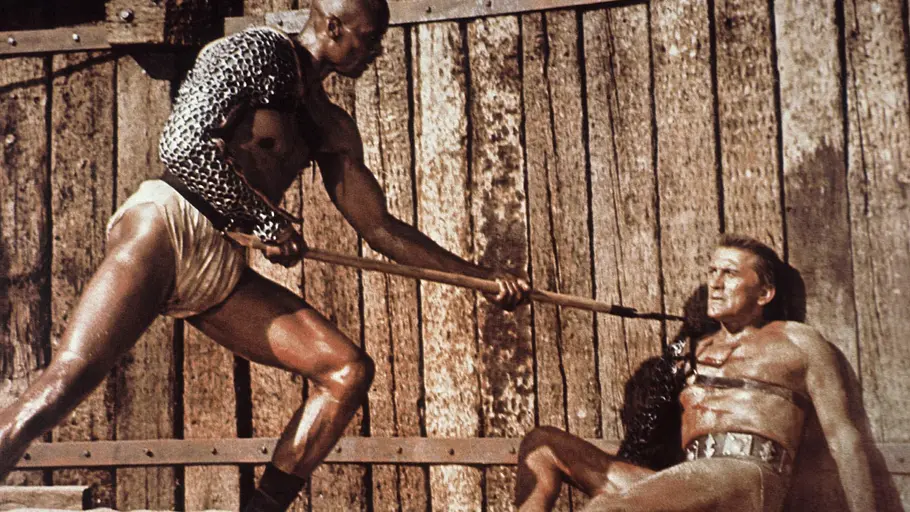 Spartacus spartacus