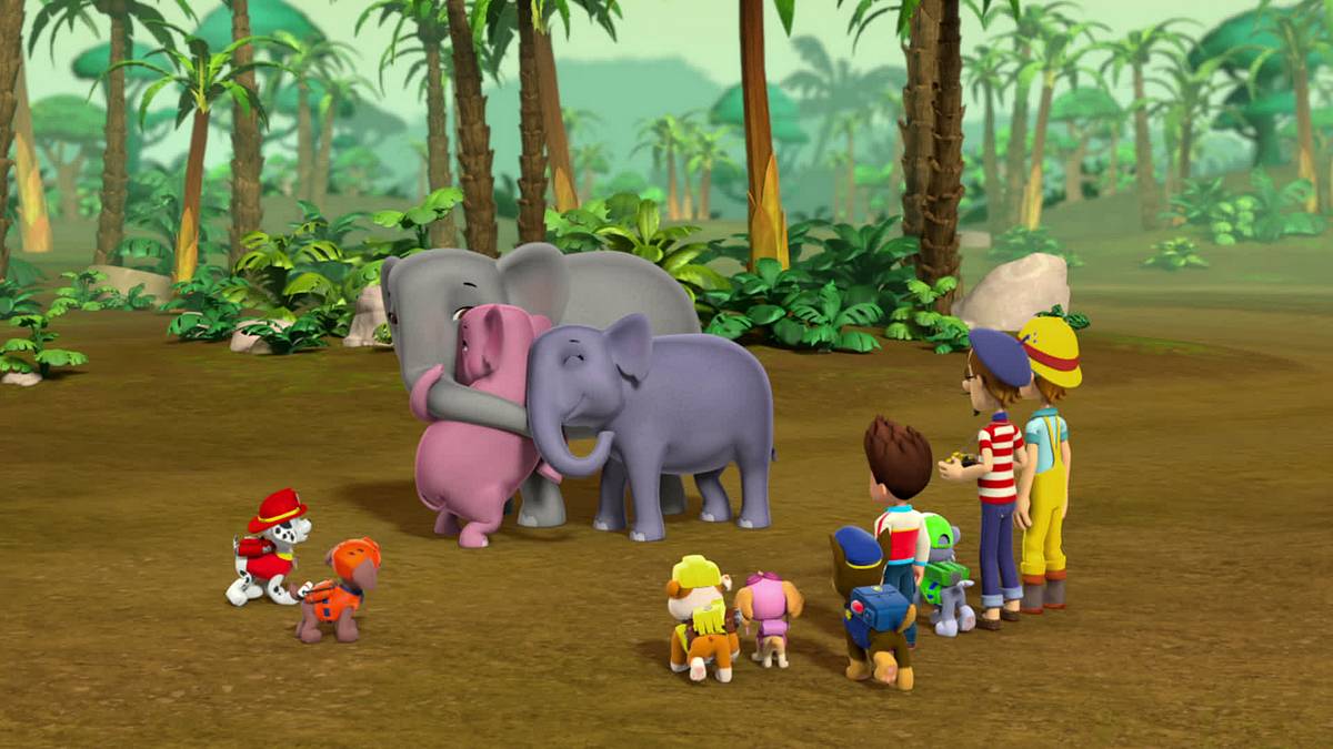 Paw Patrol - Helfer auf vier Pfoten paw patrol - helfer auf vier pfoten