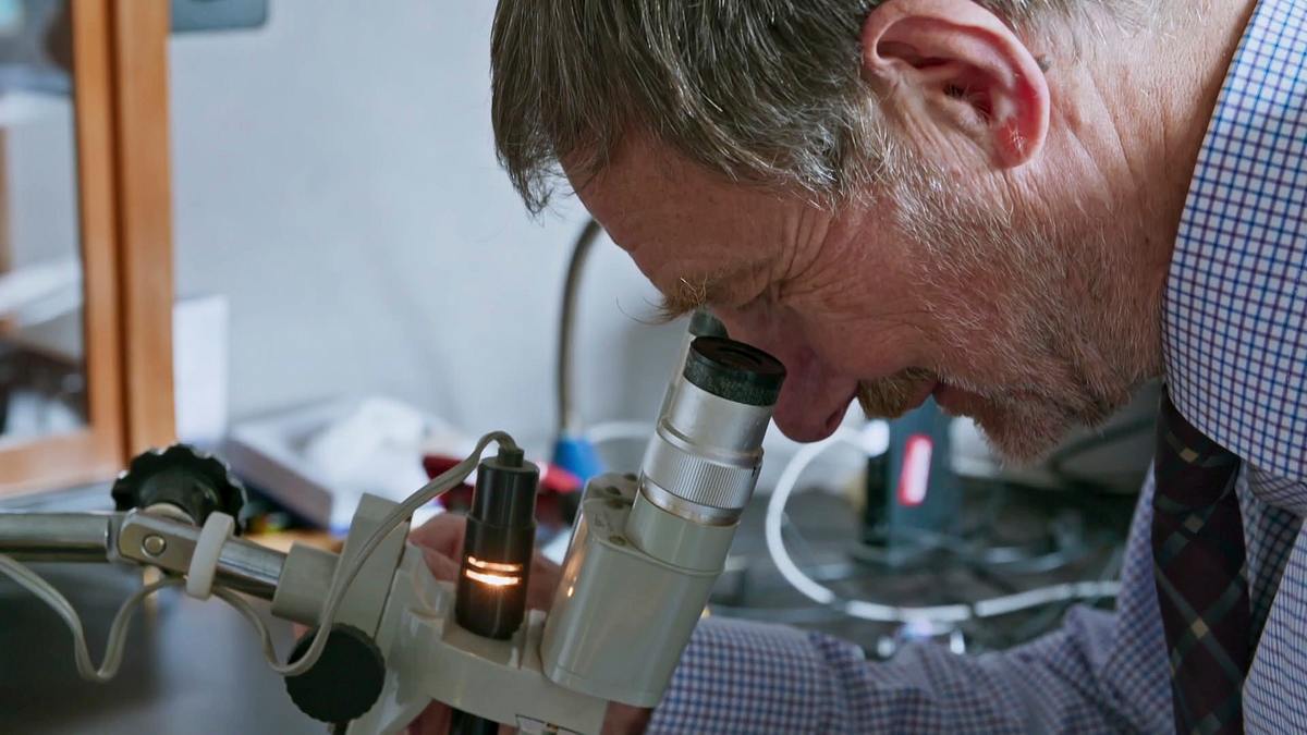 expert witness - forensiker auf spurensuche