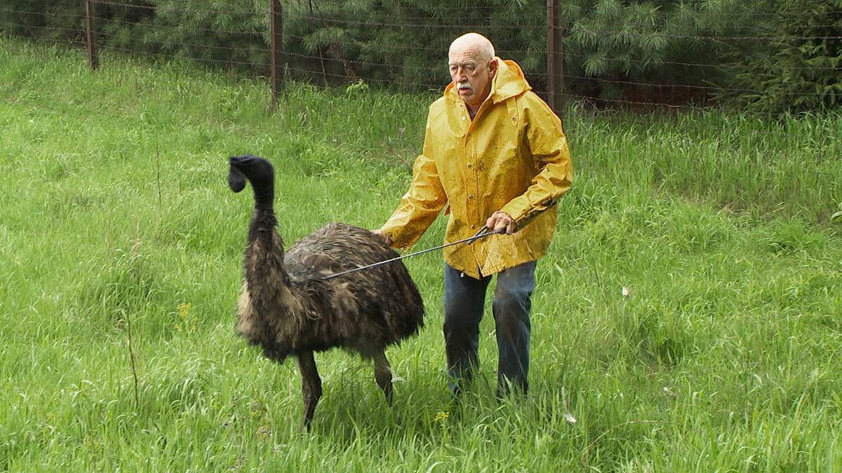 der unglaubliche dr. pol