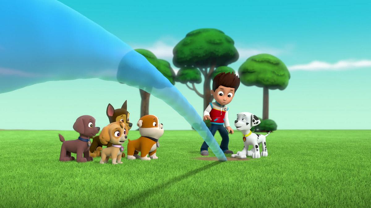 paw patrol - helfer auf vier pfoten