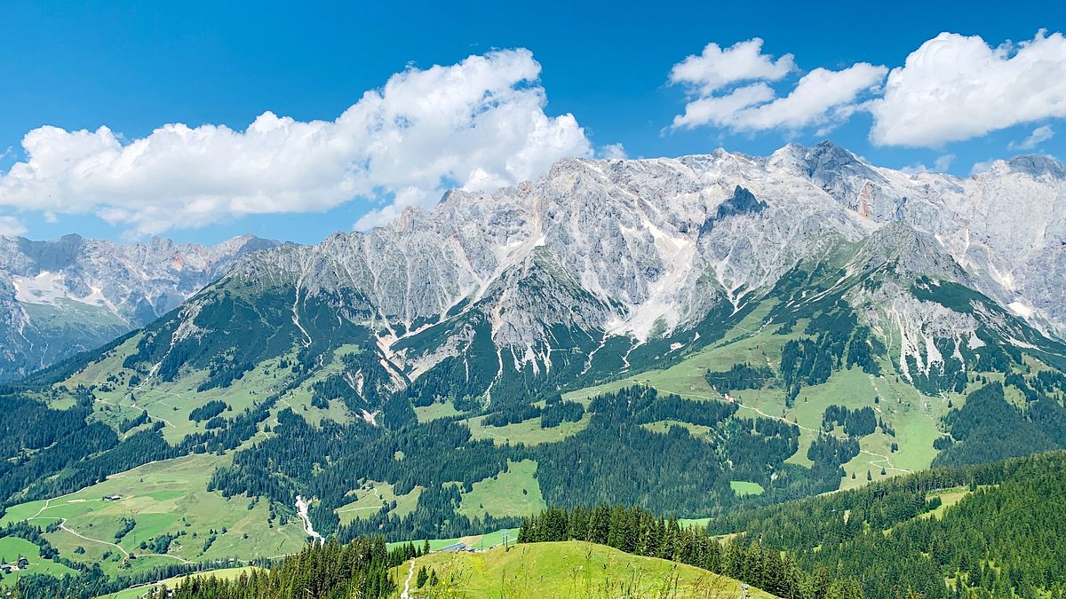 zurück zur natur