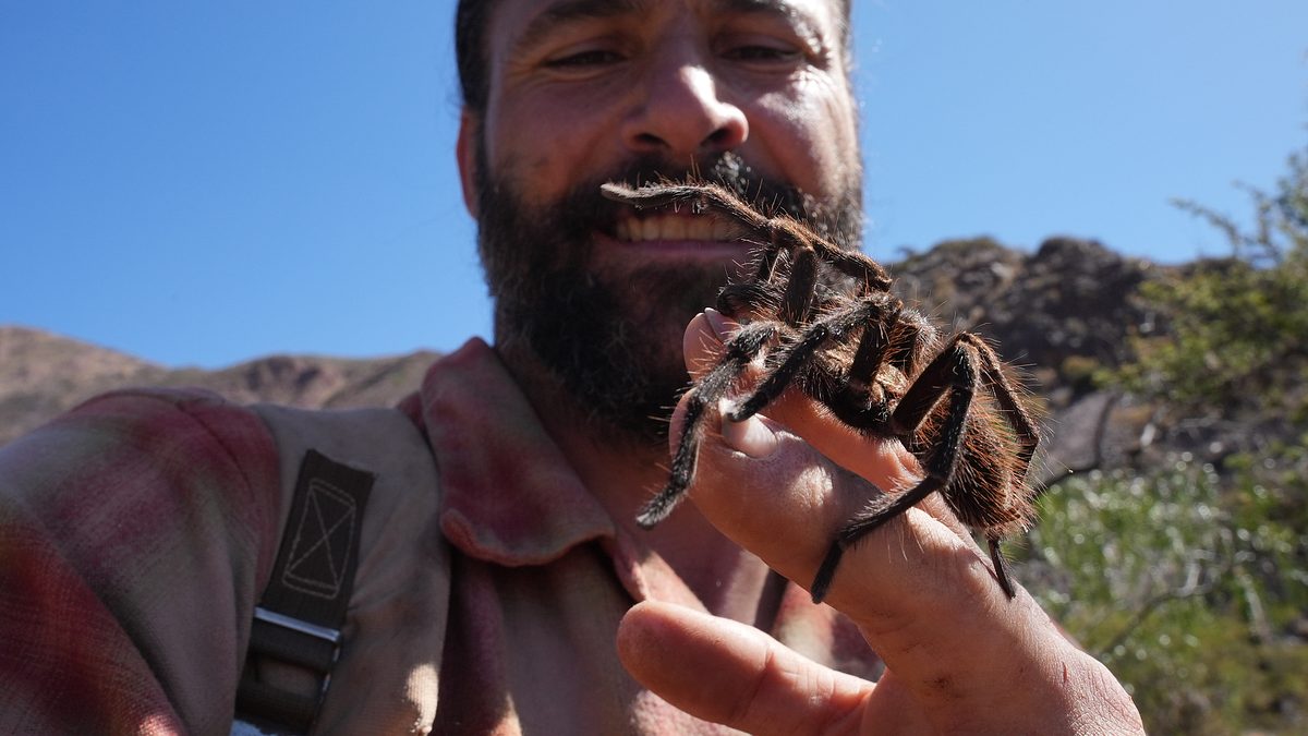 extreme survival mit hazen audel: über die anden