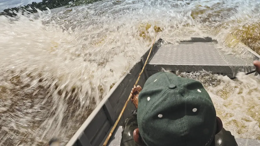 Giganten unter Wasser - Riesenfischen auf der Spur giganten unter wasser - riesenfischen auf der spur