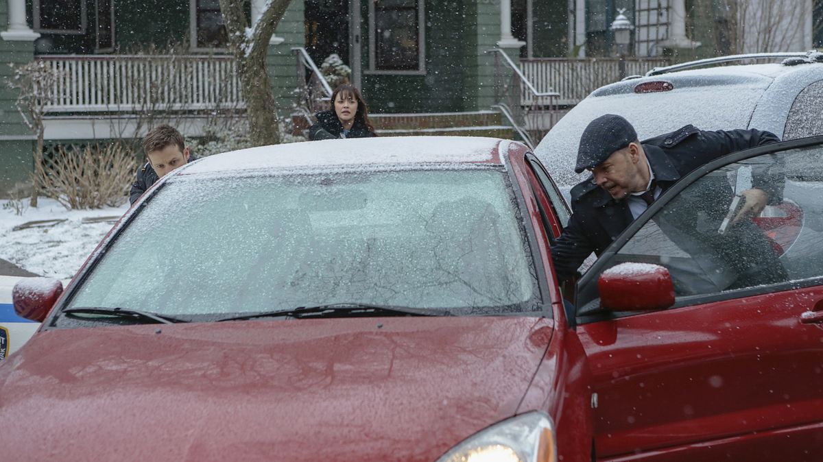 blue bloods - crime scene new york