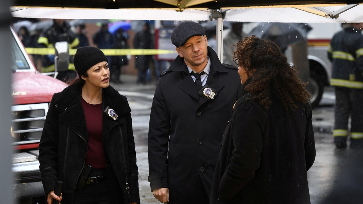 blue bloods - crime scene new york