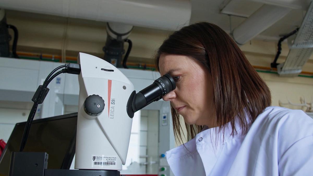 expert witness - forensiker auf spurensuche