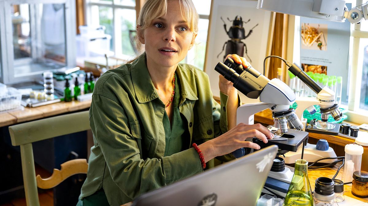 inga lindström: schmetterlinge im bauch