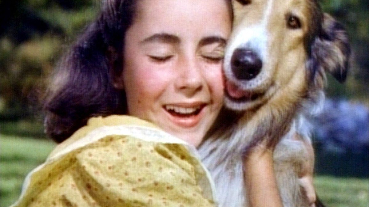 lassie - heimweh