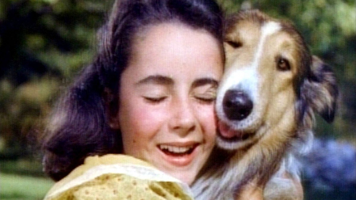 lassie - heimweh