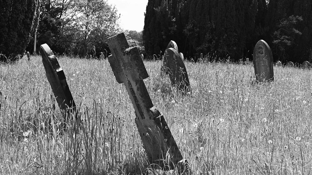 strange evidence - unglaubliche aufnahmen