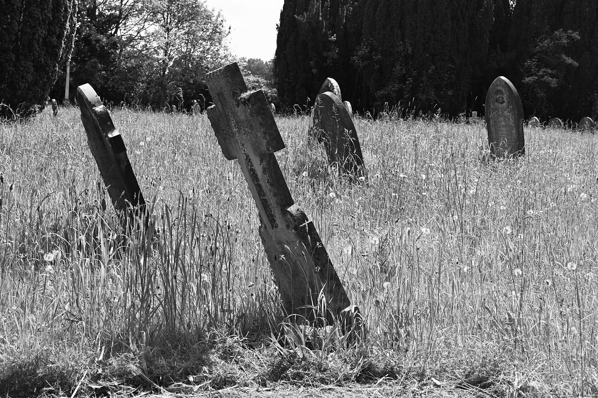 Strange Evidence - Unglaubliche Aufnahmen strange evidence - unglaubliche aufnahmen