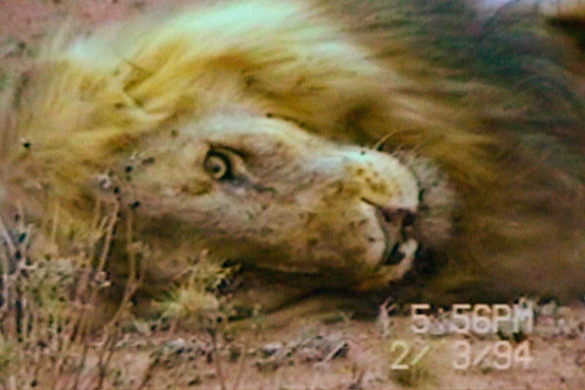 Geheimakte Wildnis geheimakte wildnis