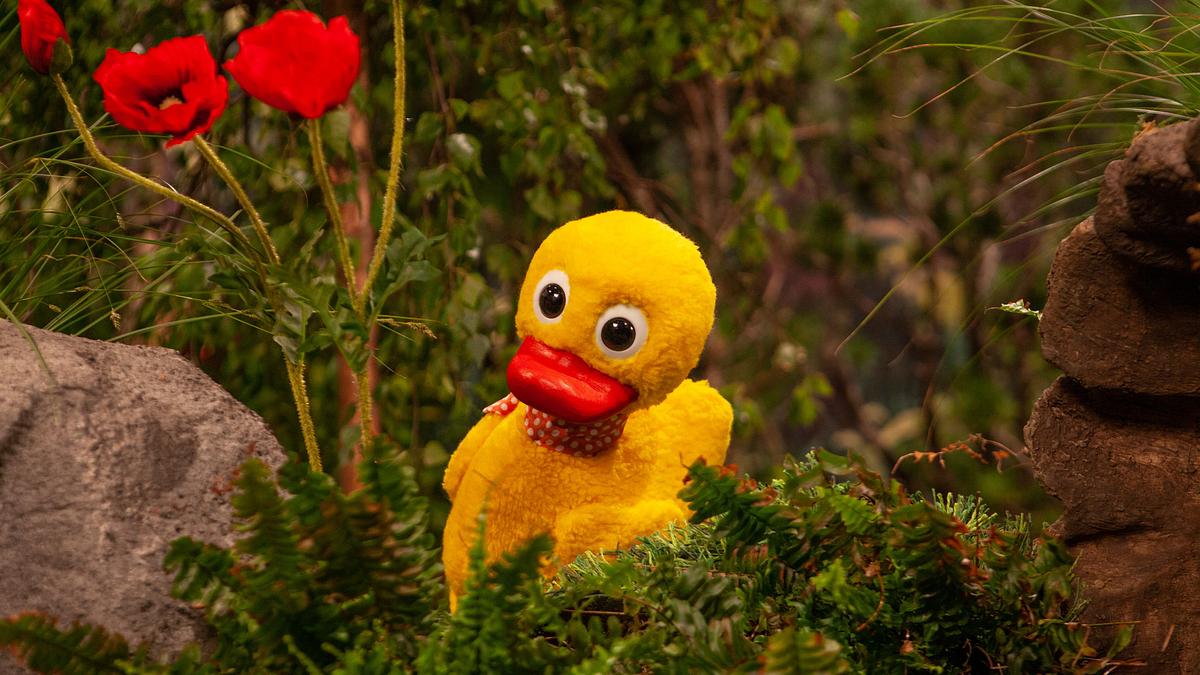 Unser Sandmännchen unser sandmännchen