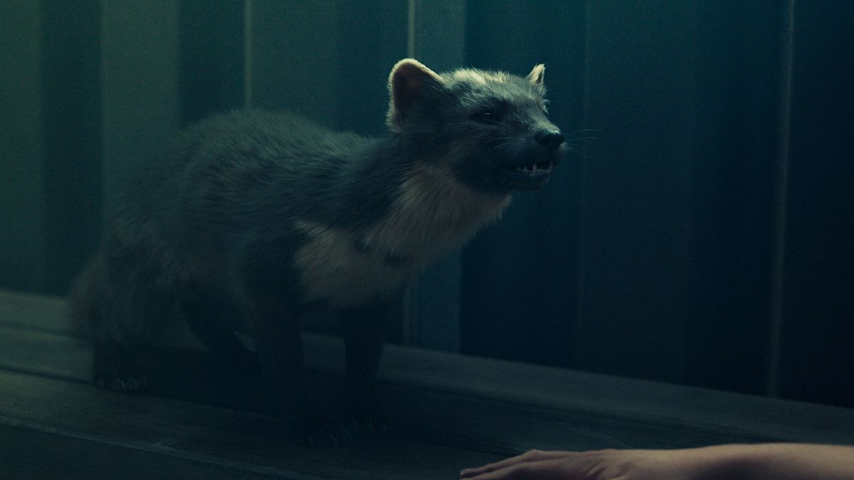 his dark materials