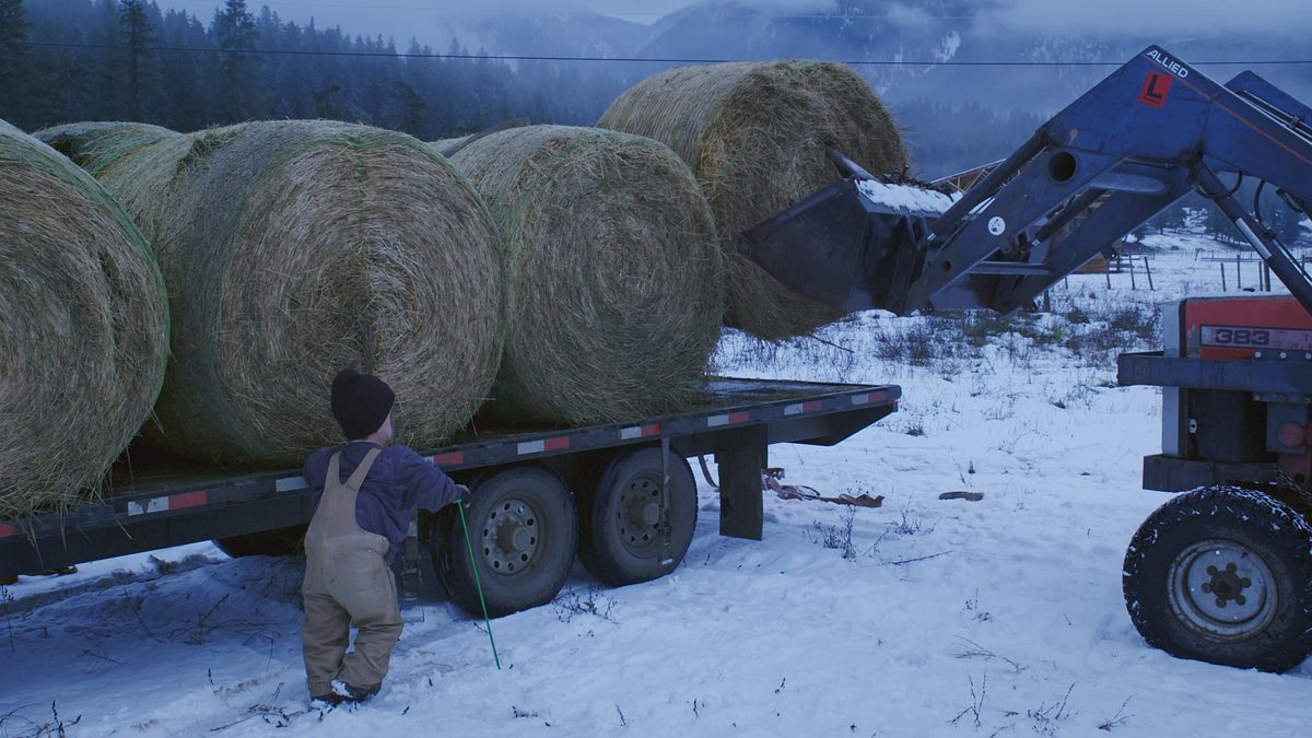 pick-up truckers - die helden der offroad