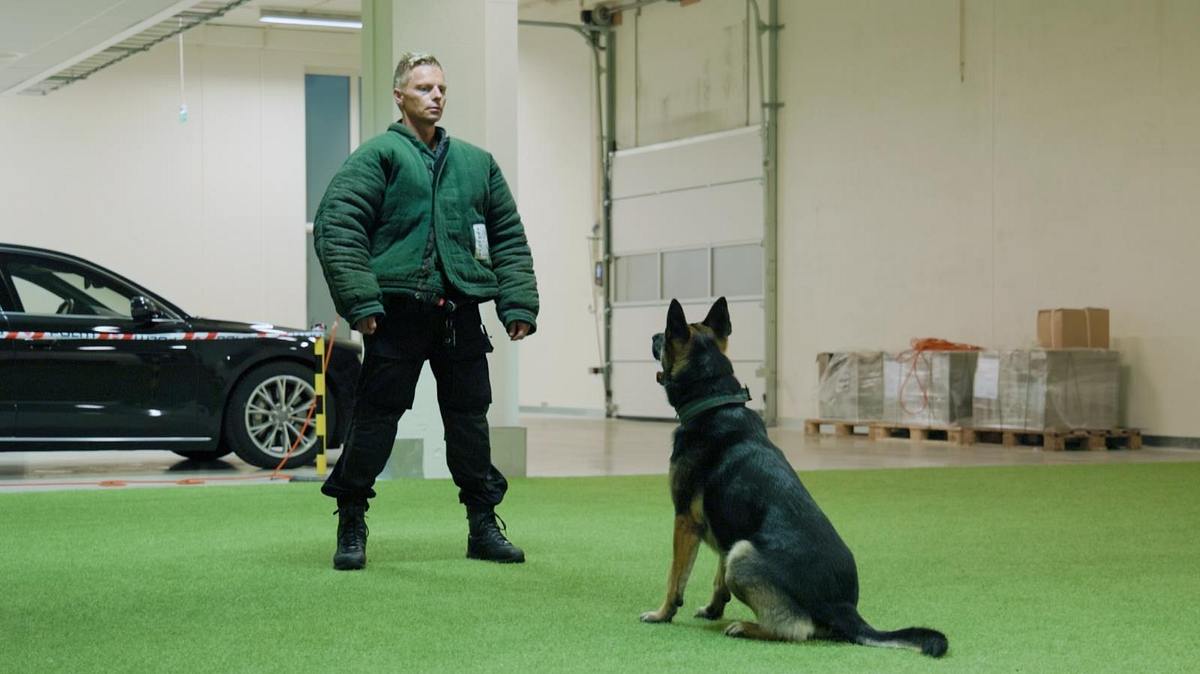 police dogs