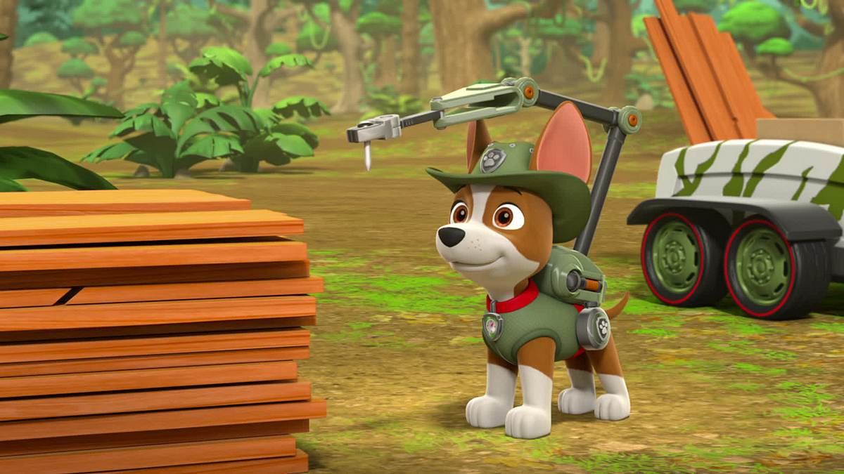 paw patrol - helfer auf vier pfoten