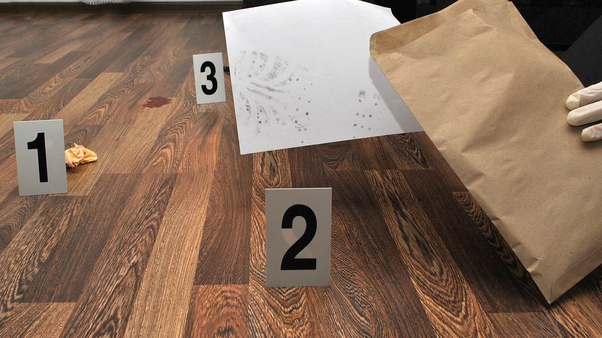forensic factor - beweise lügen nicht