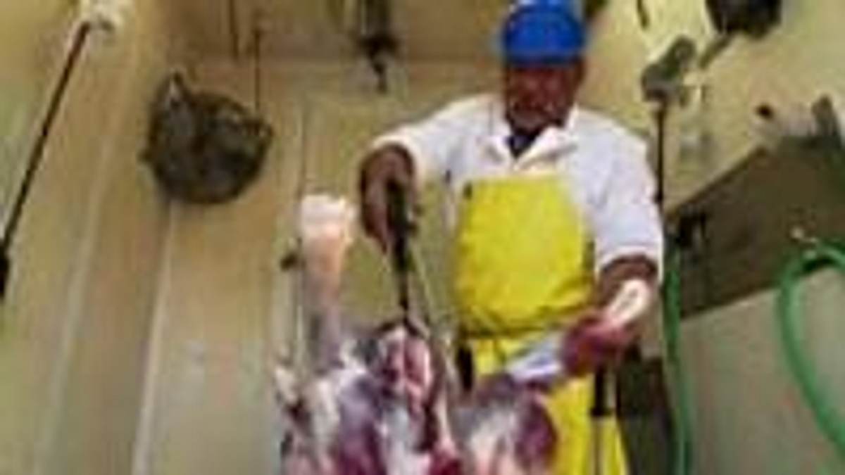 der alles-esser - so schmeckt die welt