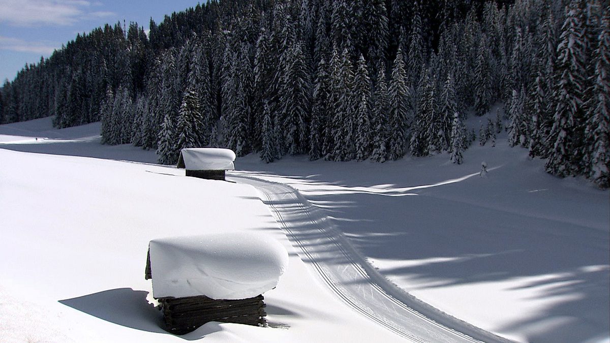 die alpen im winter