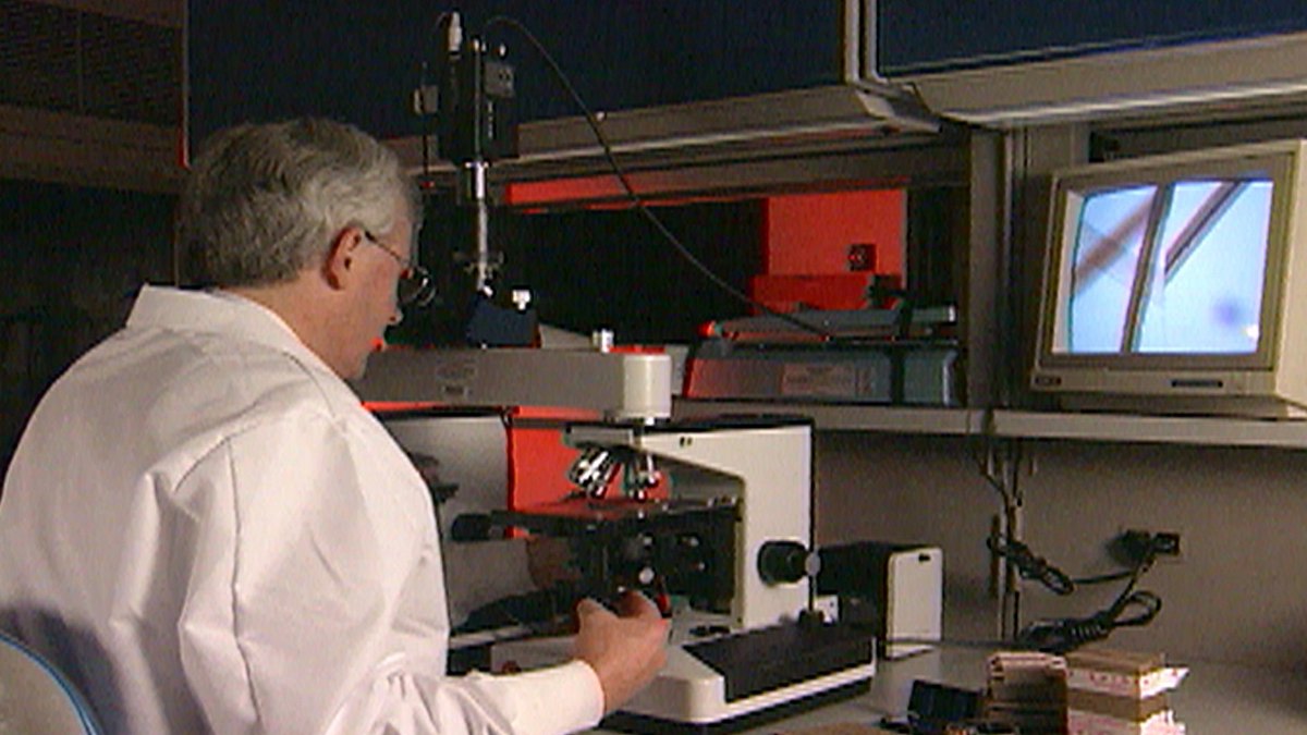 medical detectives - geheimnisse der gerichtsmedizin