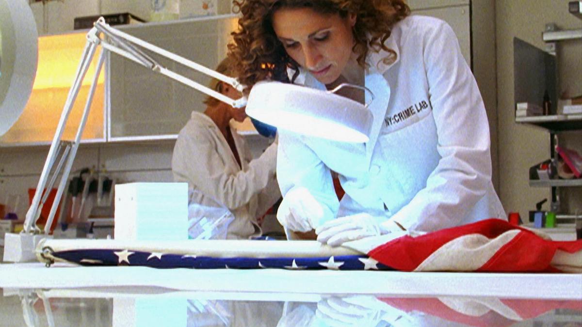 csi: ny