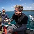 Gordon Ramsay: Kulinarische Abenteuer Thumbnail