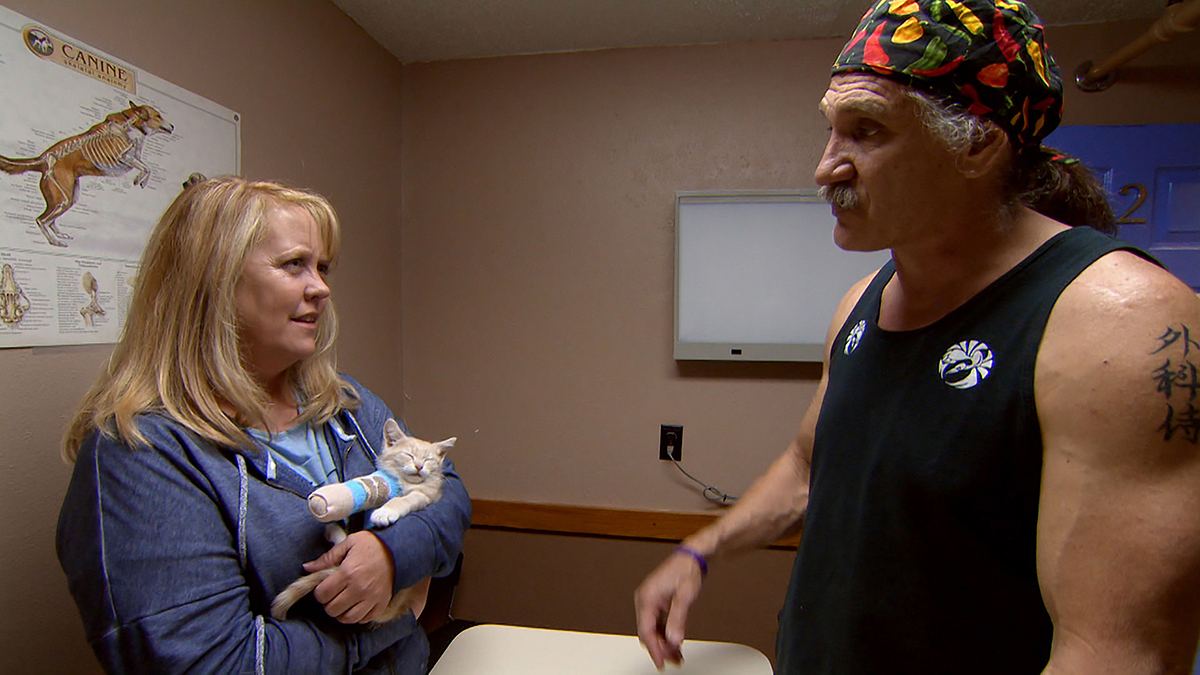 tierarzt dr. jeff