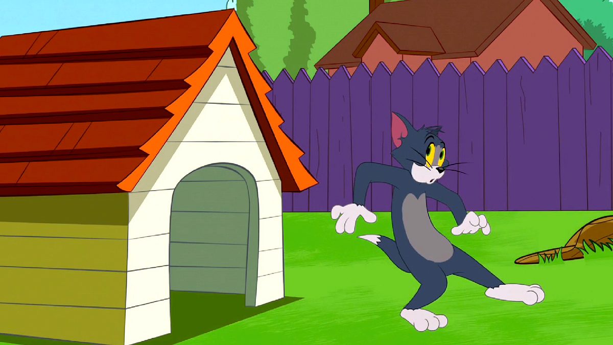 die tom und jerry show