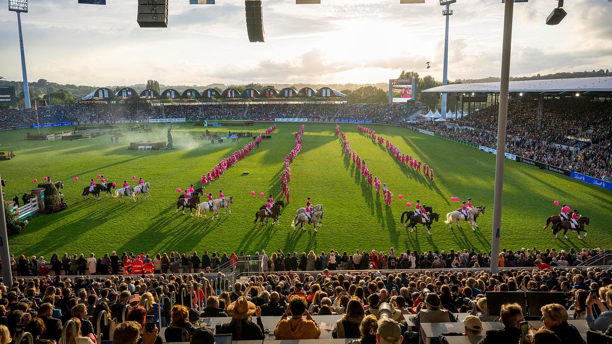 sport im westen live