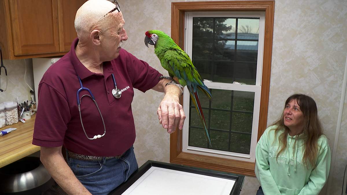 der unglaubliche dr. pol