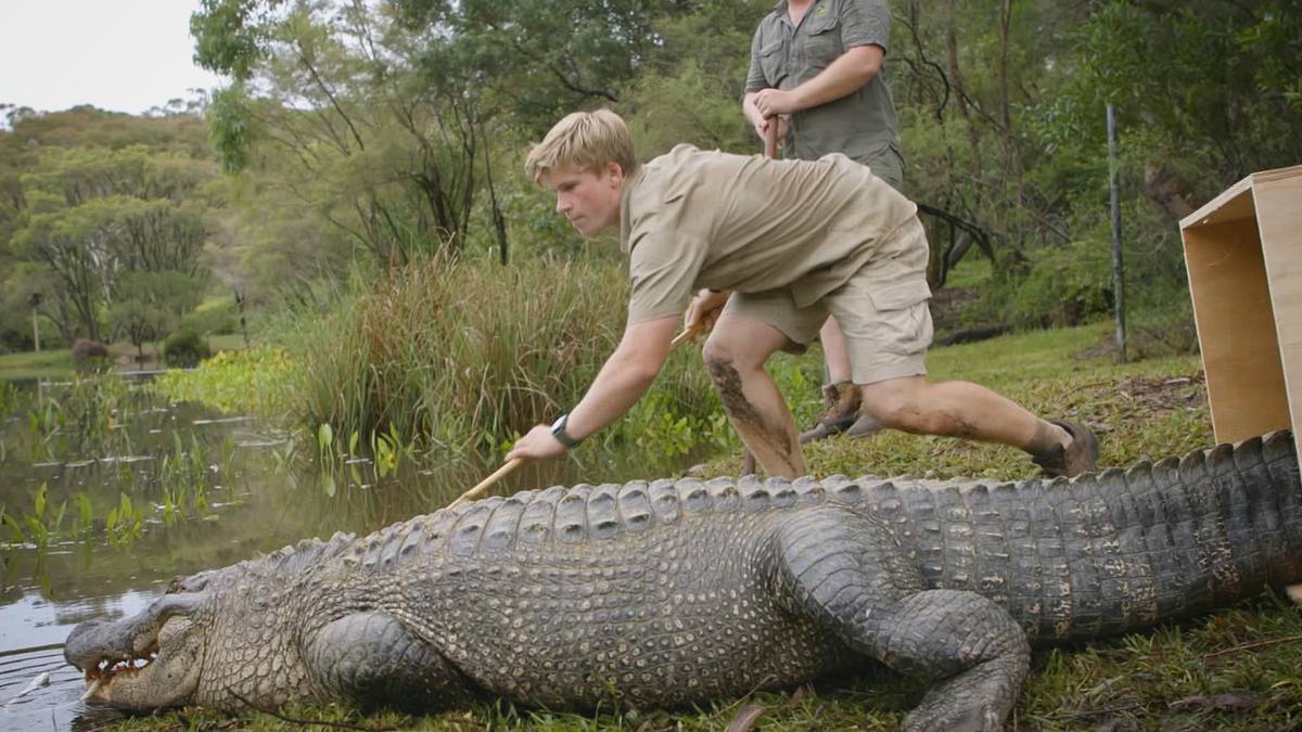 die irwins - crocodile hunter family