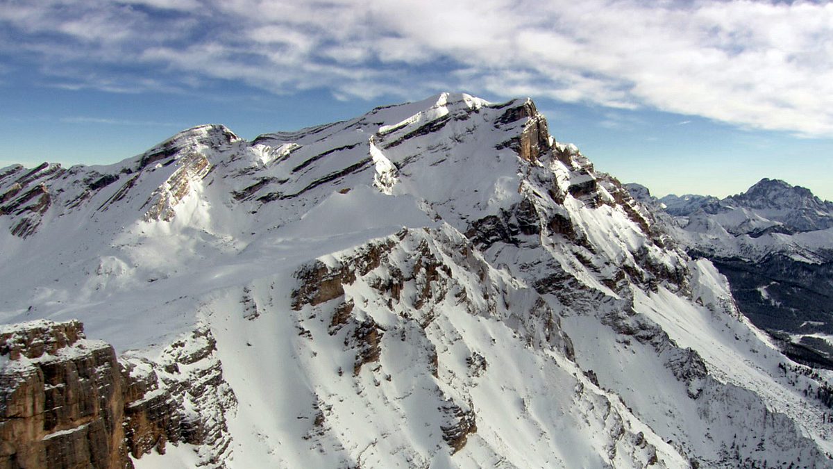 tierwelt der alpen