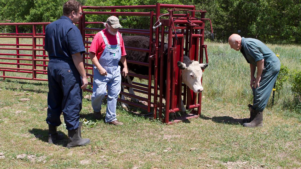 der unglaubliche dr. pol