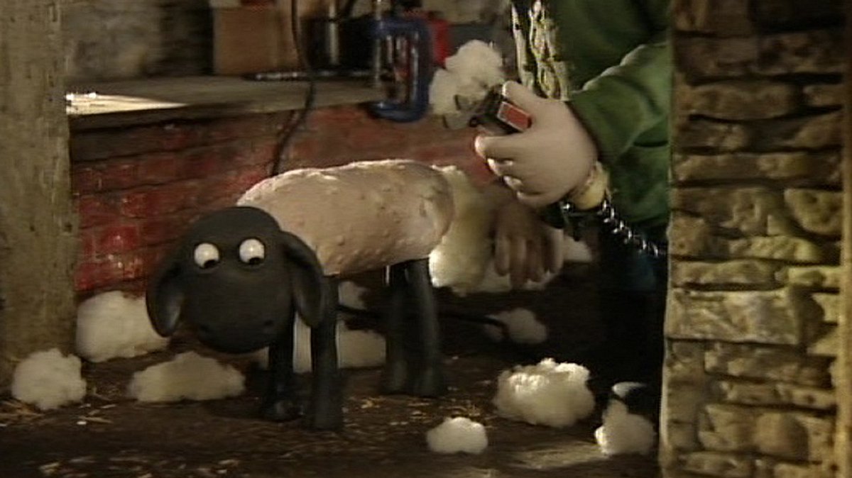 shaun das schaf