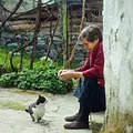 Bulgarien - Das Dorf der magischen Tiere Thumbnail
