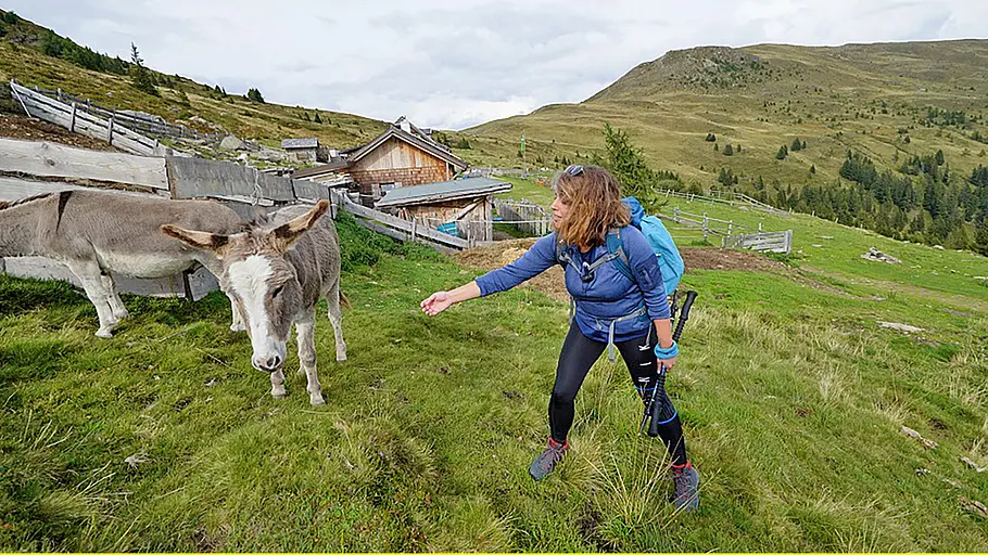Alpe-Adria-Trail, da will ich hin! alpe-adria-trail, da will ich hin!