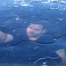 David Blaine: Nicht nachmachen! Thumbnail