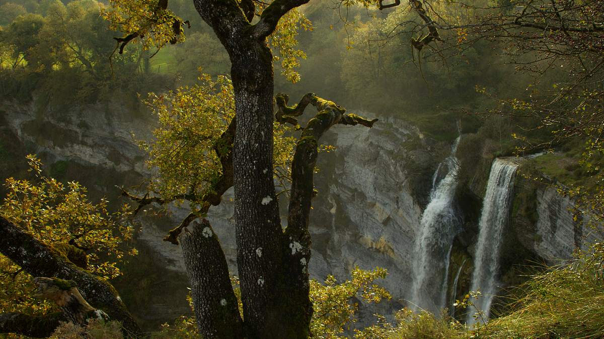 schätze der natur