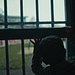 Knast in Deutschland Thumbnail